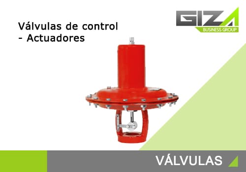 Valvulas