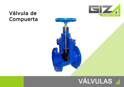Valvulas